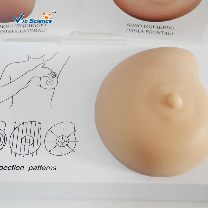 Reklāmas Produktus, Cilvēku Patoloģija Krūts Modelis